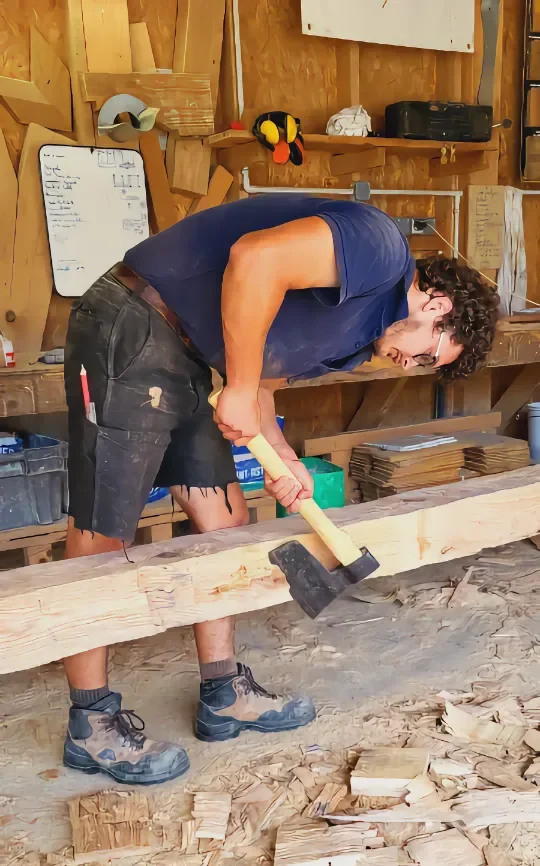 travail précieux la restauration de charpente chêne à Saint Loup (17)